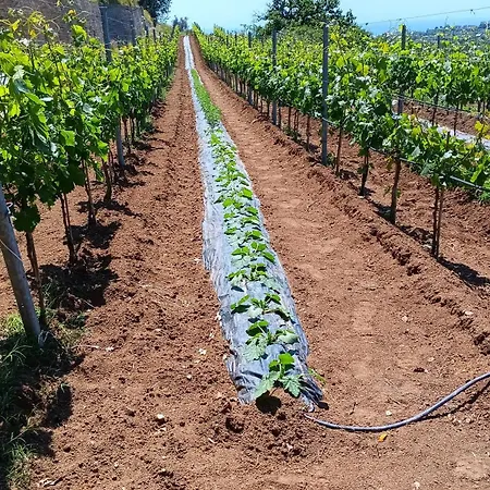 別荘 San Gianni Ardore Marina