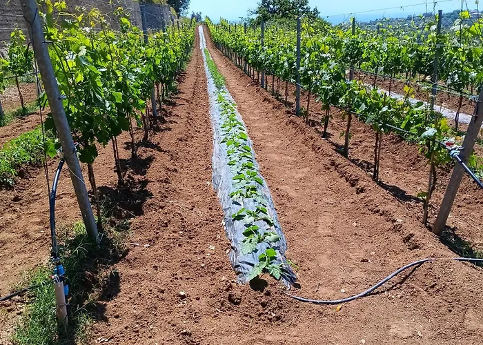 Ferienhaus San Gianni Ardore Marina